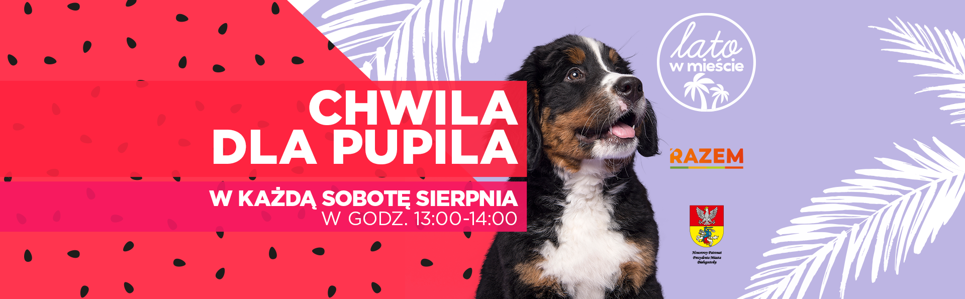 SZKOLENIE PSÓW