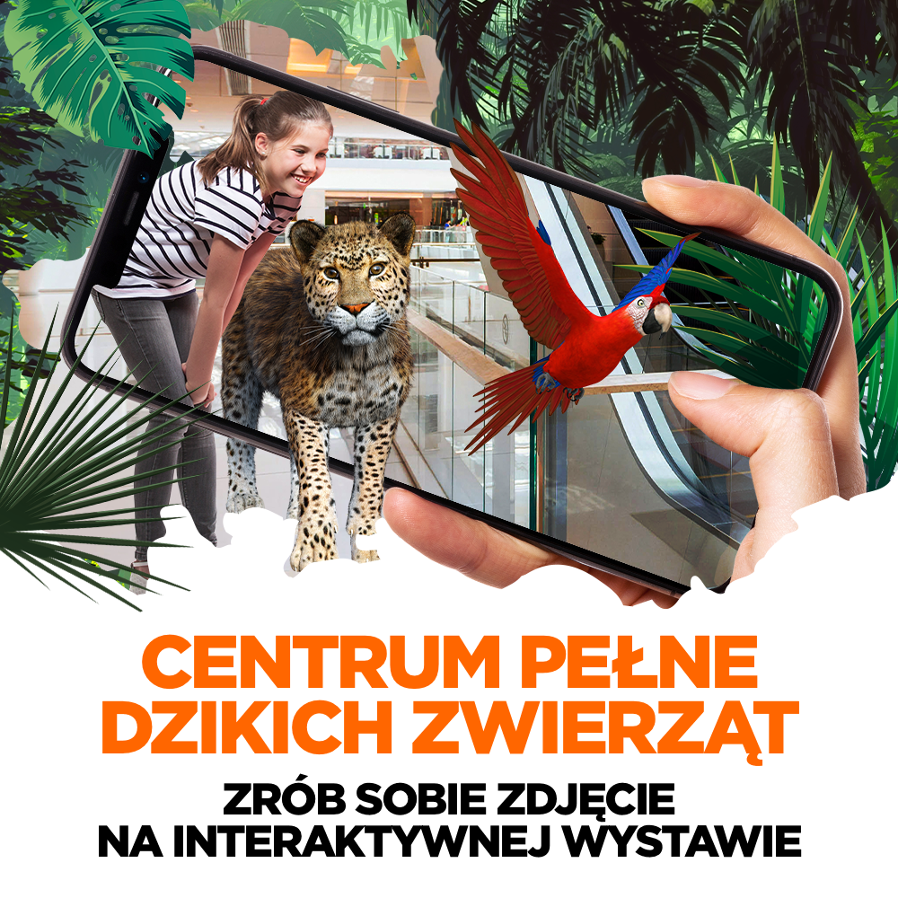 Kolorowe Centrum Świata