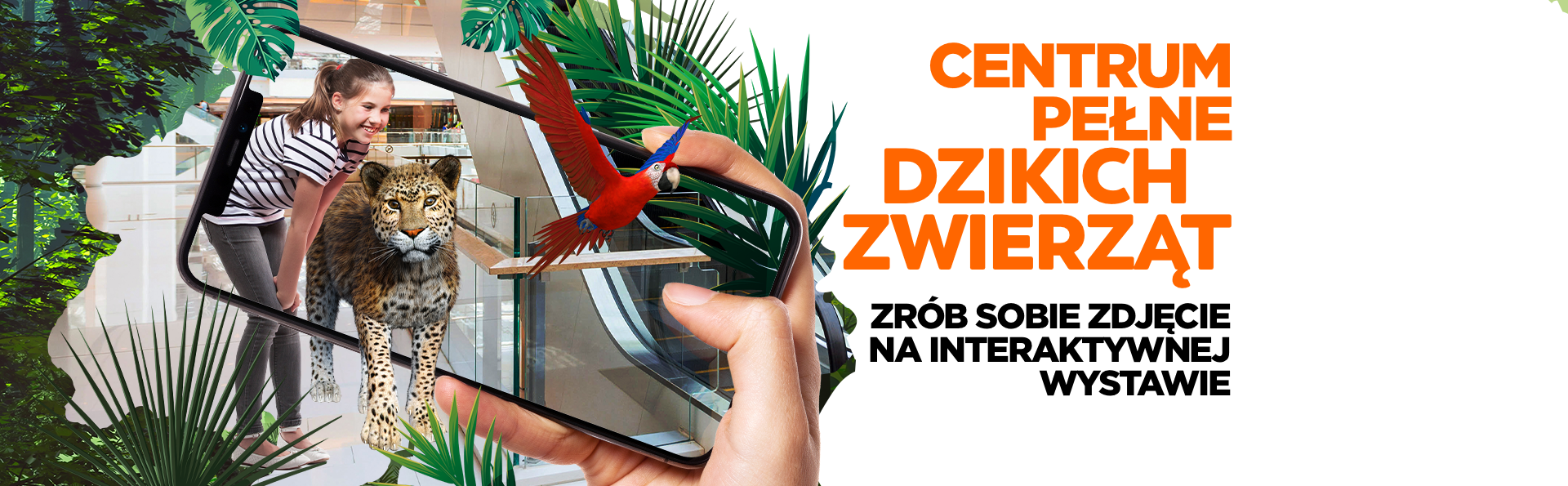 Kolorowe Centrum Świata