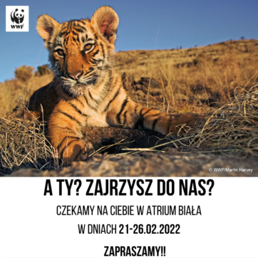 Spotkanie z Fundacją WWF