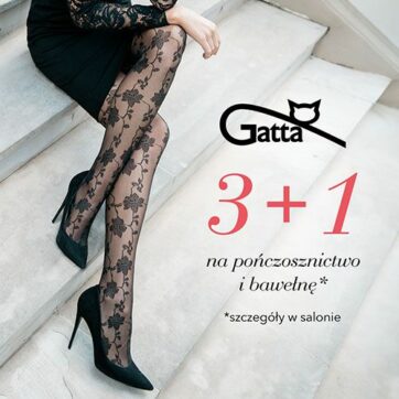 3+1 na pończosznictwo i bawełnę